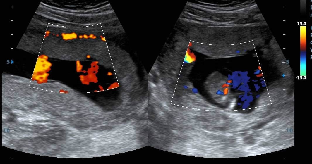 Especialidades Médicas